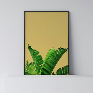 |X^[ k  CeA A[g A[gpl y Banana Leaf 3 orange z [t t A oii  O[ t _ Vv t[t A0 A1 B1 A2 B2 A3 B3