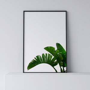 |X^[ k  CeA A3 B3 A[g A[gpl y Banana Leaf 4 z [t A t oii  O[ t _ Vv t[t A0 A1 B1 A2 B2 A3 B3