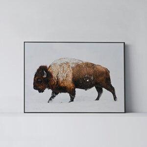 |X^[ k  CeA A[g A[gpl y Buffalo Snow z   Aj} ~  mN _ Vv t[t A0 A1 B1 A2 B2 A3 B3