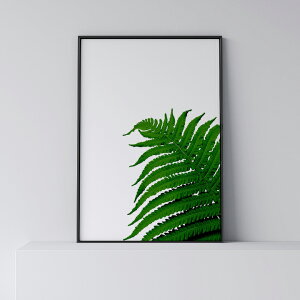|X^[ k  CeA A1 B1 A[g A[gpl y Fern Leaf z [t t A  _ Vv t[t A0 A1 B1 A2 B2 A3 B3