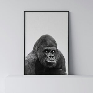 |X^[ k  CeA A[g A[gpl y Gorilla z S  _ Vv t[t A0 A1 B1 A2 B2 A3 B3