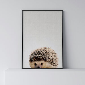 |X^[ k  CeA A[g A[gpl y Hedgehog z nlY~  Aj} _ Vv t[t A0 A1 B1 A2 B2 A3 B3