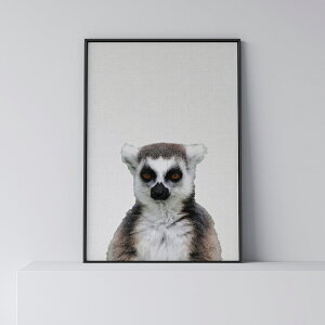 |X^[ k  CeA A[g A[gpl y Lemur z nlY~  LclU Aj} _ Vv t[t A0 A1 B1 A2 B2 A3 B3