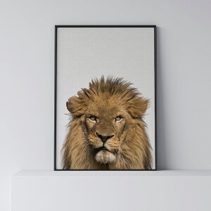 |X^[ k  CeA A[g A[gpl y Lion z CI  _ Vv t[t A0 A1 B1 A2 B2 A3 B3