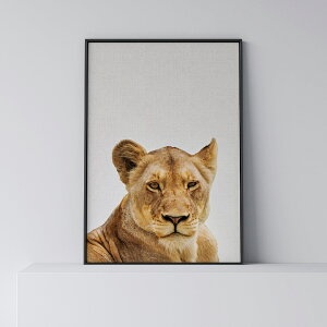 |X^[ k  CeA A[g A[gpl y Lioness z CI  _ Vv t[t A0 A1 B1 A2 B2 A3 B3