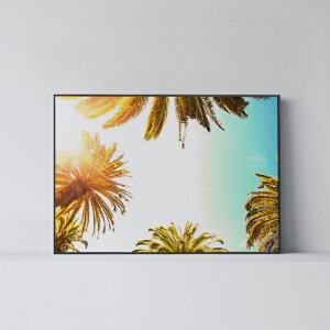 |X^[ k  CeA A[g A[gpl y Palm Trees zV C 썑 _ Vv t[t A0 A1 B1 A2 B2 A3 B3