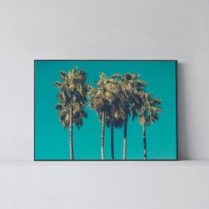 |X^[ k  CeA A2 B2 A[g A[gpl y Palm Trees 2 z V C 썑 _ Vv t[t A0 A1 B1 A2 B2 A3 B3