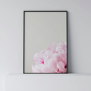 |X^[ k  CeA A2 B2 A[g A[gpl y Pink Peony z A sN O  _ Vv t[t A0 A1 B1 A2 B2 A3 B3