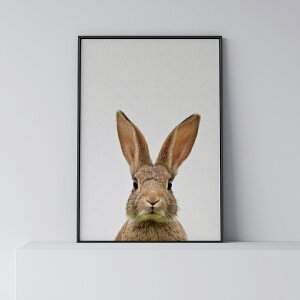 |X^[ k  CeA A[g A[gpl y Rabbit z   Aj} _ Vv t[t A0 A1 B1 A2 B2 A3 B3