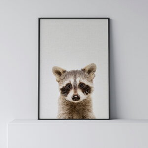 |X^[ k  CeA A[g A[gpl y Raccoon z ACO}  Aj} _ Vv t[t A0 A1 B1 A2 B2 A3 B3