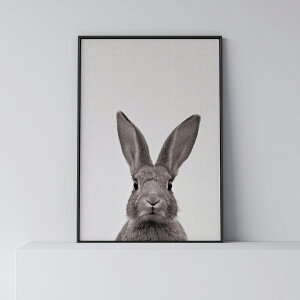 |X^[ k  CeA A[g A[gpl y Woodland animals Rabbit z Aj}  A0 A1 B1 A2 B2 A3 B3 _ Vv