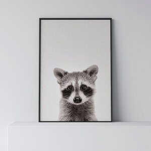 _SUPER SALEz^|X^[ k  CeA A[g A[gpl y Woodland animals Raccoon z Aj}  A0 A1 B1 A2 B2 A3 B3 _ Vv