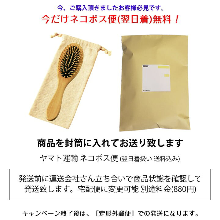 楽天市場 ヘアブラシ 木 リセットブラシ 木製 静電気防止 くし 軽量 人気 髪の手入れ 送料無料 あす楽 ヘアーブラシ 新生活応援 プレゼント あっぷる本舗