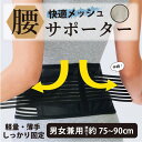 快適メッシュ腰サポーター 腰痛ベルト コルセット 薄手軽量 蒸れにくい 洗える 通気性抜群 伸縮調節 男女兼用 フリーサイズ 腰回り75-90cm 姿勢矯正 背筋サポート 腰椎保護 立ち仕事 デスクワーク 車運転 スポーツ 医療現場推奨