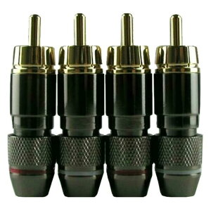 RCAvO RCARlN^ svO n_ p 24K bL B KubN 4{Zbg 