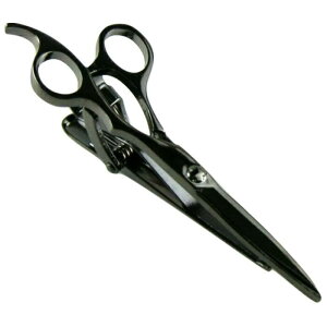 lN^Cs j[N ͂ nT~  H Vo[ S[h ubN B 