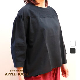 ウームシャツ（コットン100％）アップルハウス 綿 オフィスカジュアル プルオーバー 日本製 天然素材 レディース 1サイズ