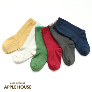 M[ \bNXi2025N~J[jAbvnEX { C Rbg V[g fB[X