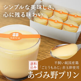 あづみ野プリン 6個入（カスタード）送料無料 プリン ホワイトデー お返し チョコ以外 長野県 安曇野 あづみ野 スイーツ お菓子 おやつ 箱入り 洋菓子 お取り寄せ プレゼント 差し入れ 個包装 ばらまき 菓子 冷蔵発送 お試し おためし 自宅用