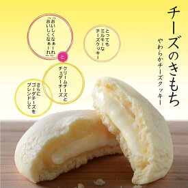 チーズのきもち クッキー ソフトクッキー チーズ ギフト 小分け 個包装 贈り物 誕生日 プレゼント お礼 内祝い 内祝 熨斗対応 退職 御礼 焼菓子 スイーツ 洋菓子 焼き菓子 お供え お取り寄せ 日持ち 香典返し 入学祝い 進級祝い 退職祝い 卒業祝い 進学祝い 春ギフト