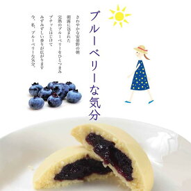 ブルーベリーな気分 クッキー ソフトクッキー ジャム ギフト 小分け 個包装 贈り物 誕生日 プレゼント お礼 内祝い 内祝 熨斗対応 退職 御礼 焼菓子 スイーツ 洋菓子 焼き菓子 お供え お取り寄せ 日持ち 香典返し 入学祝い 進級祝い 退職祝い 卒業祝い 進学祝い 春ギフト