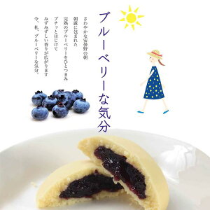 ブルーベリーな気分 クッキー ソフトクッキー ジャム ギフト 小分け 個包装 贈り物 誕生日 プレゼント お礼 内祝い 内祝 熨斗対応 退職 御礼 焼菓子 スイーツ 洋菓子 焼き菓子 お供え お取り