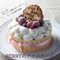 Berryのアイスチーズ 送料無料 5号 アイスケーキ いちご チーズ 子供 孫 お誕生日 バースデイ 記念日 ケ…