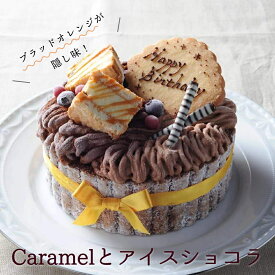 Caramelとアイスショコラ 5号 アイスケーキ チョコ 子供 クリスマス お誕生日 バースデイ 記念日 ケーキ アイスクリーム アイスジェラート スイーツ 大人 ギフト プレゼント お中元 お取り寄せ 父の日 母の日 ホワイトデー バースデーケーキ 入学祝い 進級祝い 入園祝い