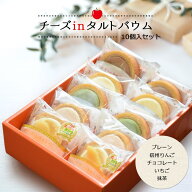 チーズinタルトバウム ギフトセット10個入（プレーン・信州りんご・チョコレート・いちご・抹茶各2個）バ…