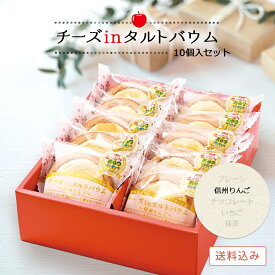 チーズinタルトバウム ギフトセット10個入（信州りんご） 送料無料 バームクーヘン チーズケーキ チーズタルト チーズバウム バウムクーヘン ギフト 贈り物 プレゼント 菓子折り スイーツ お取り寄せ 冷凍 クール便 個包装 入学祝い 進級祝い 退職祝い 卒業祝い 春ギフト