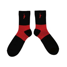 IN THE PAINT ANKLE LOCK SOCKS インザペイント アンクルロックソックス バスケットボールソックス 2024SS(itp243261003)