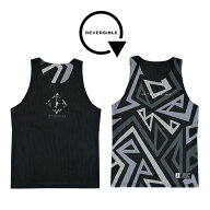 IN THE PAINT インザペイント REVERSIBLE SHIRTS リバーシブルシャツ バスケットボールウェア 2025SS(itp…