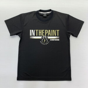 IN THE PAINT �C���U�y�C���g �t�[�v�n�E�X�I���W�i��T�V���c �o�X�P�b�g�{�[�� �v���N�e�B�X�����V���c itphhss(itp1904hh1001)