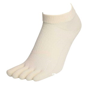 Mr.leg ~X^[bO 5{w\bNX @\jO\bNX AC{[(ml1655ivy)