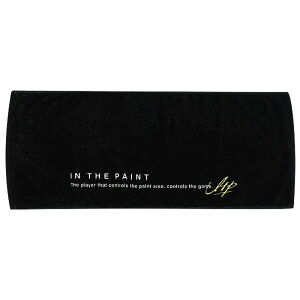 IN THE PAINT TOWEL CUyCg ^I oXPbg{[ 2025FW(itp2546010)