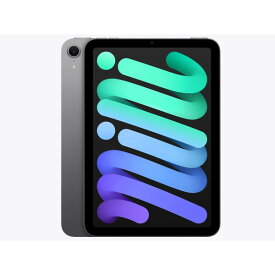 タブレットPC Apple アップル iPad mini 8.3インチ Wi-Fiモデル 128GB 2024年秋モデル MXN63J/A スペースグレイ iPadOS 4549995526486