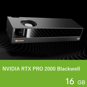NVIDIA �O���t�B�b�N�{�[�h NVIDIA RTX PRO 2000 Blackwell PCIe 5.0 x8 MiniDisplayPort 2.1b x4 ������:GDDR7/16GB �ő����d��:70W�y������s�z 4537694368568