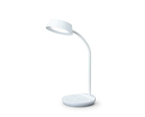 ACXI[} LEDfXNCgQi[dV[Y u^Cv EF LDL-QFDL-W zCg 0501-4967576494052-ds -񂹕i-