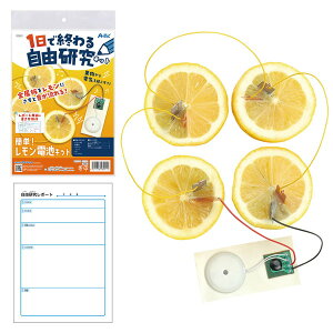 ARTEC �A�[�e�b�N 1���ŏI��鎩�R�����L�b�g�@�ȒP!�������d�r �Ȋw�H�� 58941 �y�L�����Z���s�E�k�C�����ꗣ���z���s�z-�����񂹕i- 4521718589411-ds