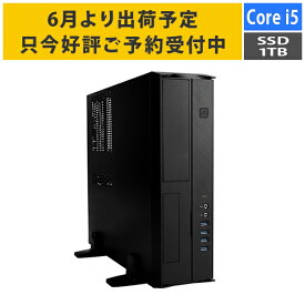 【ポイントアップで5月25日がおトク★店内全品対象】【6月より出荷開始】デスクトップPC Core i5-12400/メモリ:16GB/SSD:NVMe1TB Gen3/300W/Win11Home Barikata Barikata-431195 BTOパソコン デスクトップパソコン 新品 7777-Katamen431195-soku