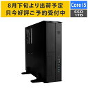 【8月下旬より出荷予定】デスクトップPC Core i5-12400/メモリ:16GB/SSD:1TB NVMe/300W Barikata ROGRESS-436203 BTOパソコン デスクトップパソコン 新品 7777-P'ROGRESS436203 soku