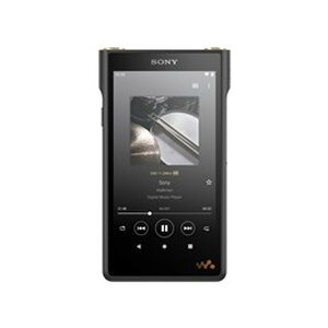 �f�W�^���I�[�f�B�I�v���[���[(DAP) �\�j�[ / SONY NW-WM1AM2 [128GB] �y�L�����Z���s�E�k�C�����ꗣ���z���s�z 0057-4548736129535-ds 4548736129535-ds