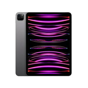 ^ubgPC Abv / APPLE iPad Pro 11C` 4 Wi-Fi 1TB 2022NHf MNXK3J/A [Xy[XOC] yLZsEkCꗣzsz 0057-4549995347432-ds