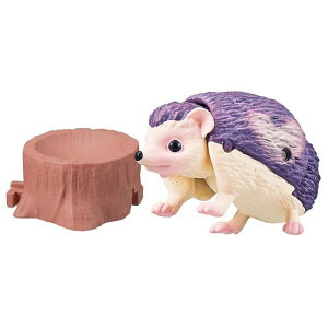 `嗤 AjALO_ n[g(crnlY~)  ǂ q j̎q 3 --yLZsEkCꗣzsz 0389-4904810901990-ds