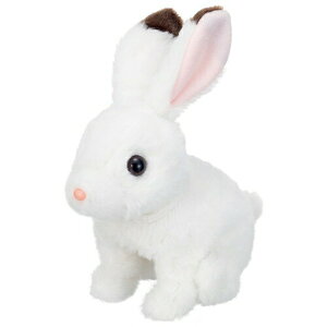 ݂݃p^p^ bL[  ǂ q ̎q l`V 3 --yLZsEkCꗣzsz 0389-4966510318324-ds