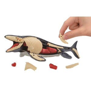 TTEXpY  ǂ q pY 6 --yLZsEkCꗣzsz 0389-4975430516840-ds