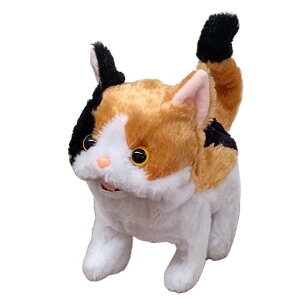 sbR[l ~P  ǂ q ̎q l`V 3΂ --yLZsEkCꗣzsz 0389-4966510332733-ds