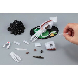 tIICJ̃pY  ǂ q pY 6΂ ЃKnEX --yLZsEkCꗣzsz 0389-4975430518998-ds