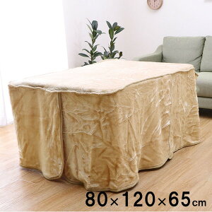 CPqR nC^Cv(r)p |ѕz 􂦂 unC^Cv|(BOX)v 80×120×65cm {bNX^Cv Vv uE 5828719yszykCꗣ͔zsz-