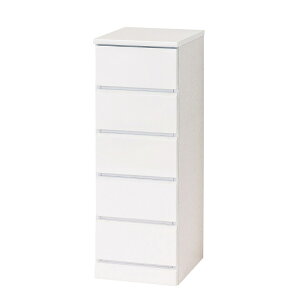 NVI VCX`FXg5i 23697 yEwELZsEkCꗣzsz -- 4954877236979-ds